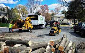 Professional  Tree Services in Pacific Grove, CA