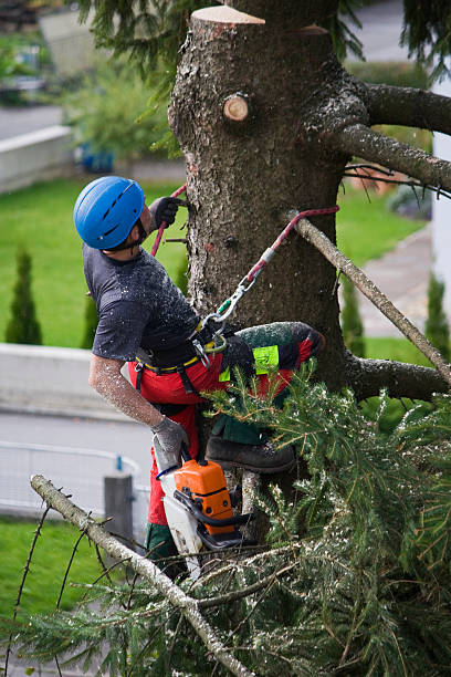 Best Weed Control Services  in Pacific Grove, CA